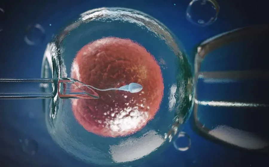 Embriyo değerlendirmesi ve genetik tedaviler